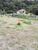 Terreno, 2 hectares - Foto 2