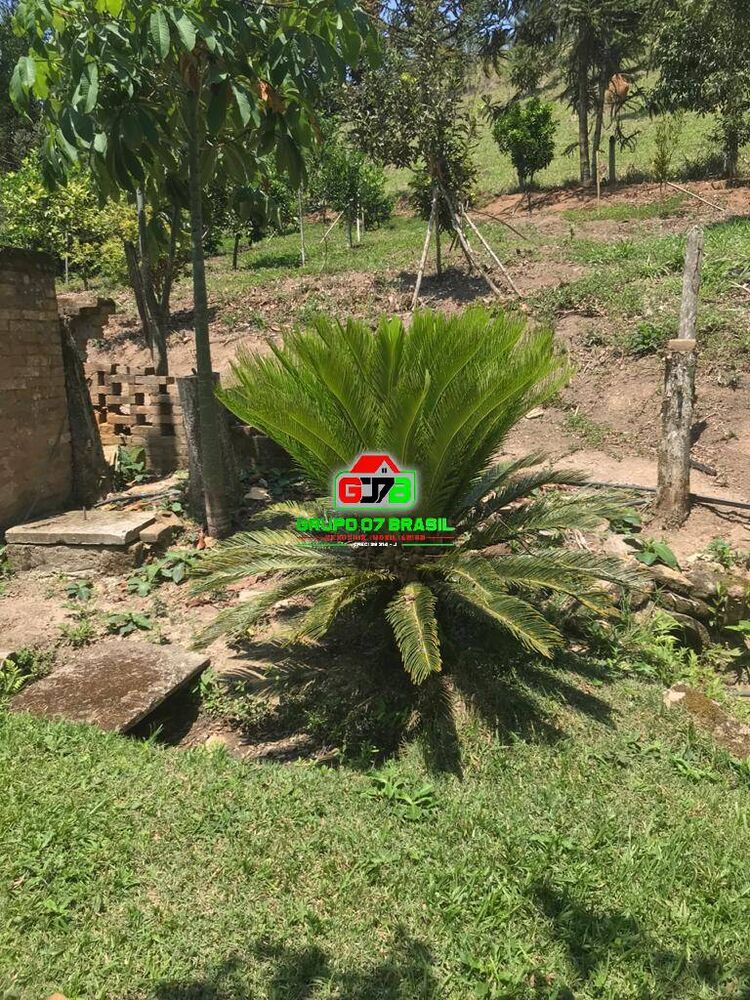Terreno, 35 m² - Foto 4