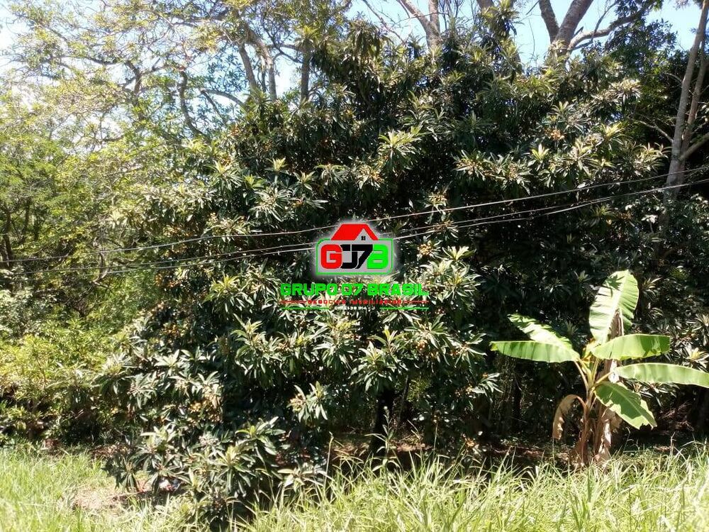 Chácara à venda com 2 quartos, 110m² - Foto 2