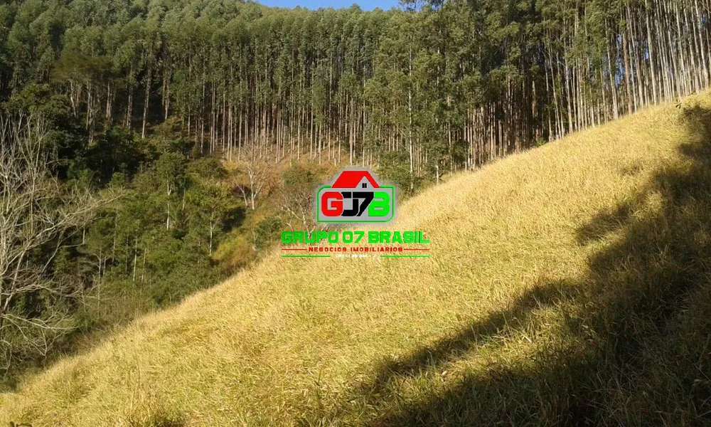 Terreno - Foto 3