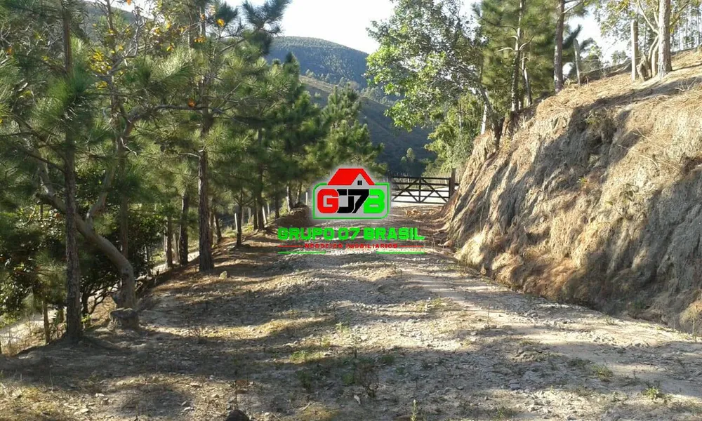 Terreno - Foto 7