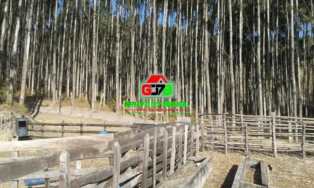 Terreno - Foto 8