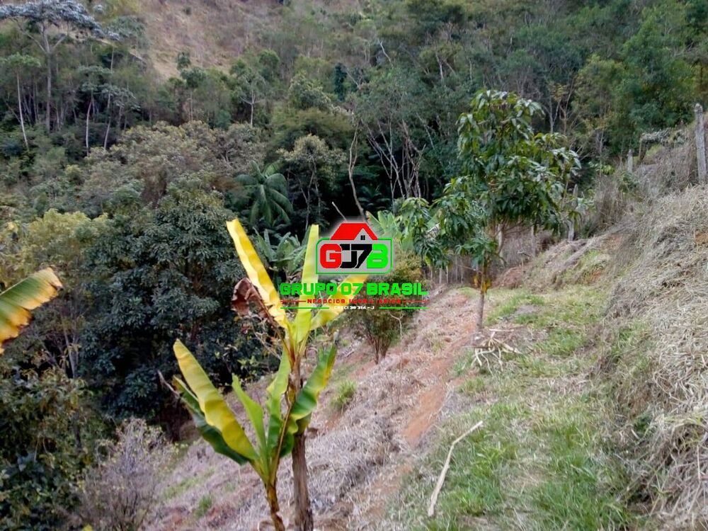 Terreno à venda, 2000m² - Foto 6