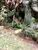Terreno, 2000 m² - Foto 14