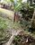 Terreno, 2000 m² - Foto 13