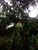 Terreno, 2000 m² - Foto 5