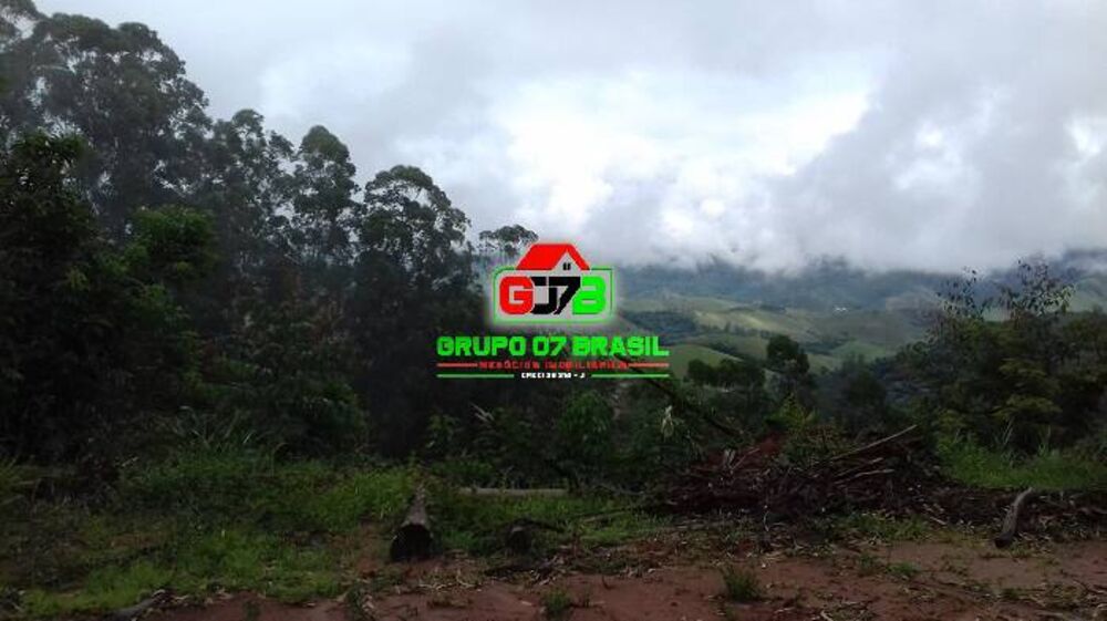 Terreno, 3 hectares - Foto 4