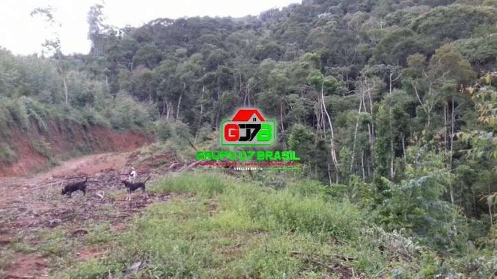 Terreno, 3 hectares - Foto 2