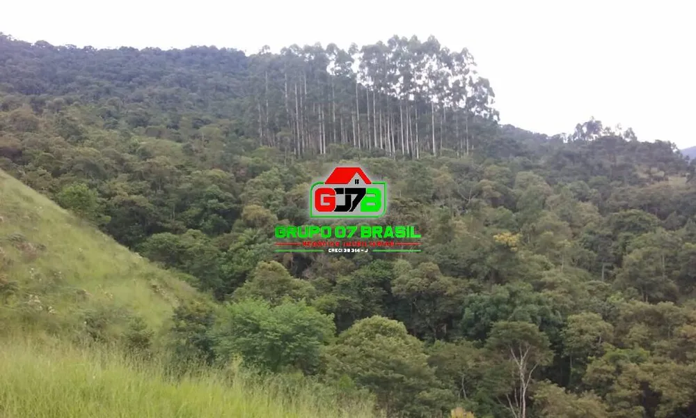Terreno, 48 hectares - Foto 7