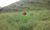 Terreno, 48 hectares - Foto 2
