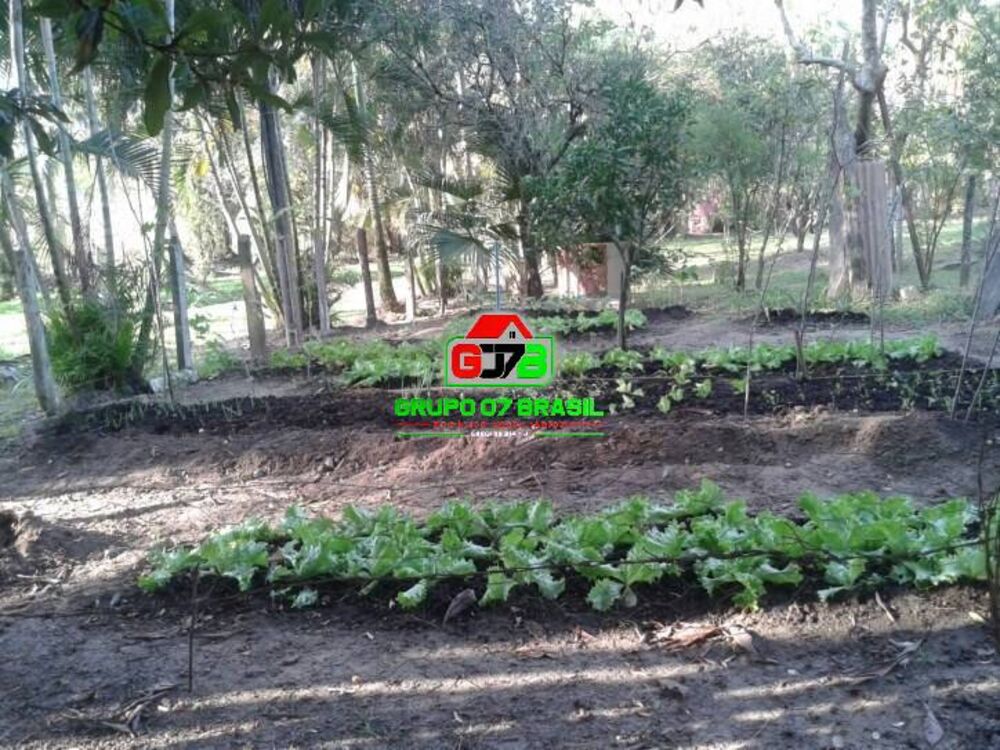 Terreno, 4 hectares - Foto 1