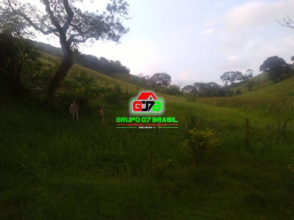 Fazenda à venda com 4 quartos, 18m² - Foto 7