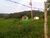 Fazenda, 18 m² - Foto 3