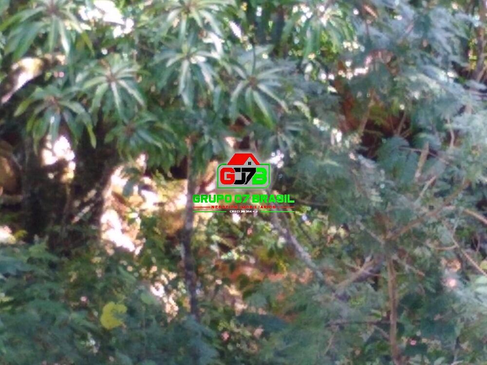 Terreno, 1800 m² - Foto 3