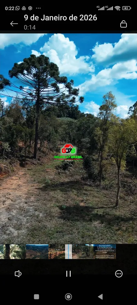 Terreno, 1 hectares - Foto 7