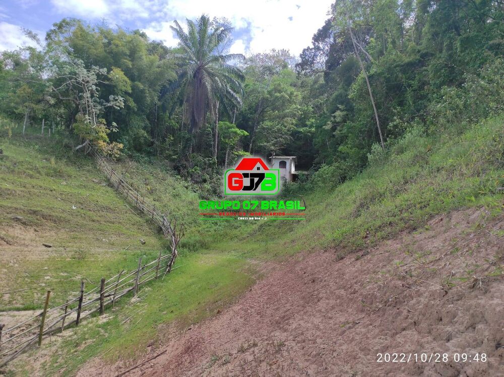 Terreno, 2 hectares - Foto 3