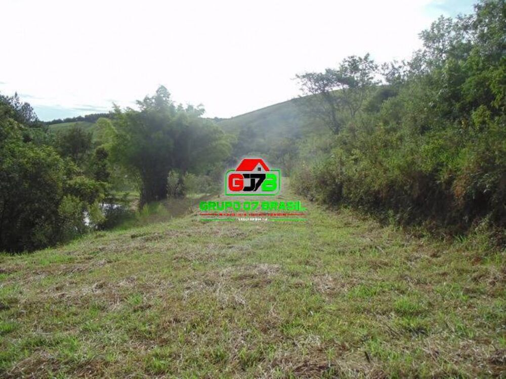 Sítio, 5 quartos, 10 hectares - Foto 1