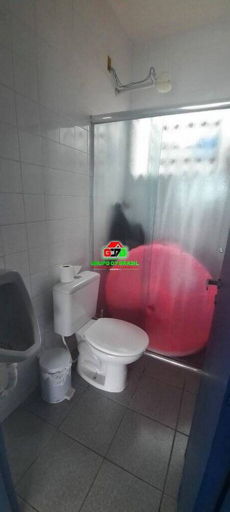 Chácara, 4 quartos, 9000 m² - Foto 4