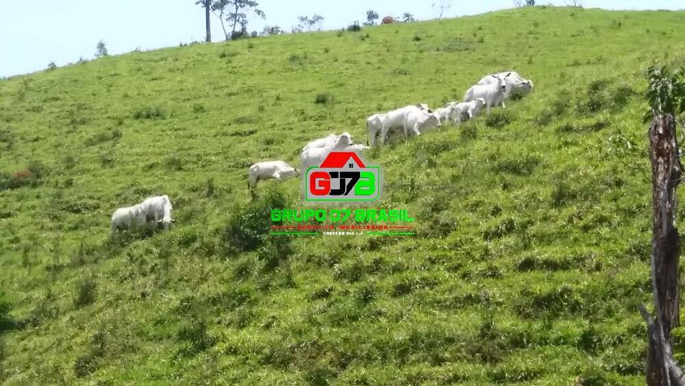 Terreno, 271 m² - Foto 10