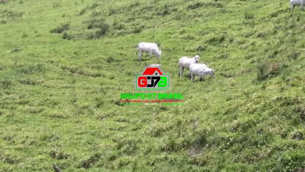 Terreno, 271 m² - Foto 9