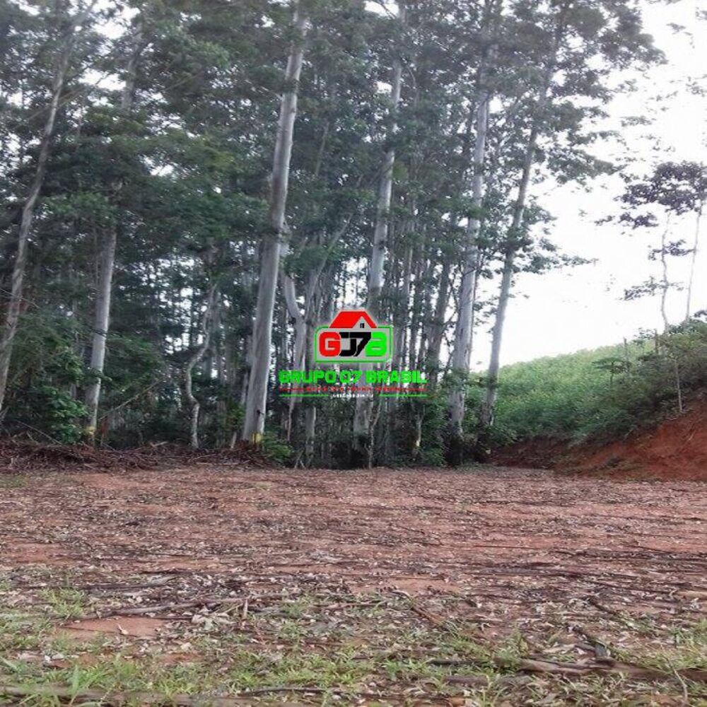 Terreno, 3 hectares - Foto 4