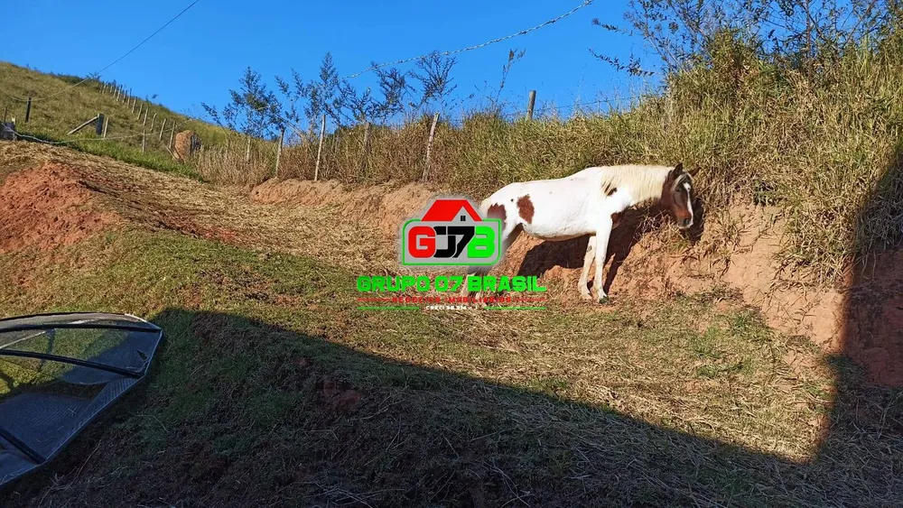 Terreno, 3 hectares - Foto 4