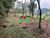 Terreno, 13 m² - Foto 3