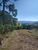 Terreno, 13 m² - Foto 1