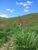 Terreno, 2 hectares - Foto 1