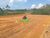 Terreno, 2 hectares - Foto 4