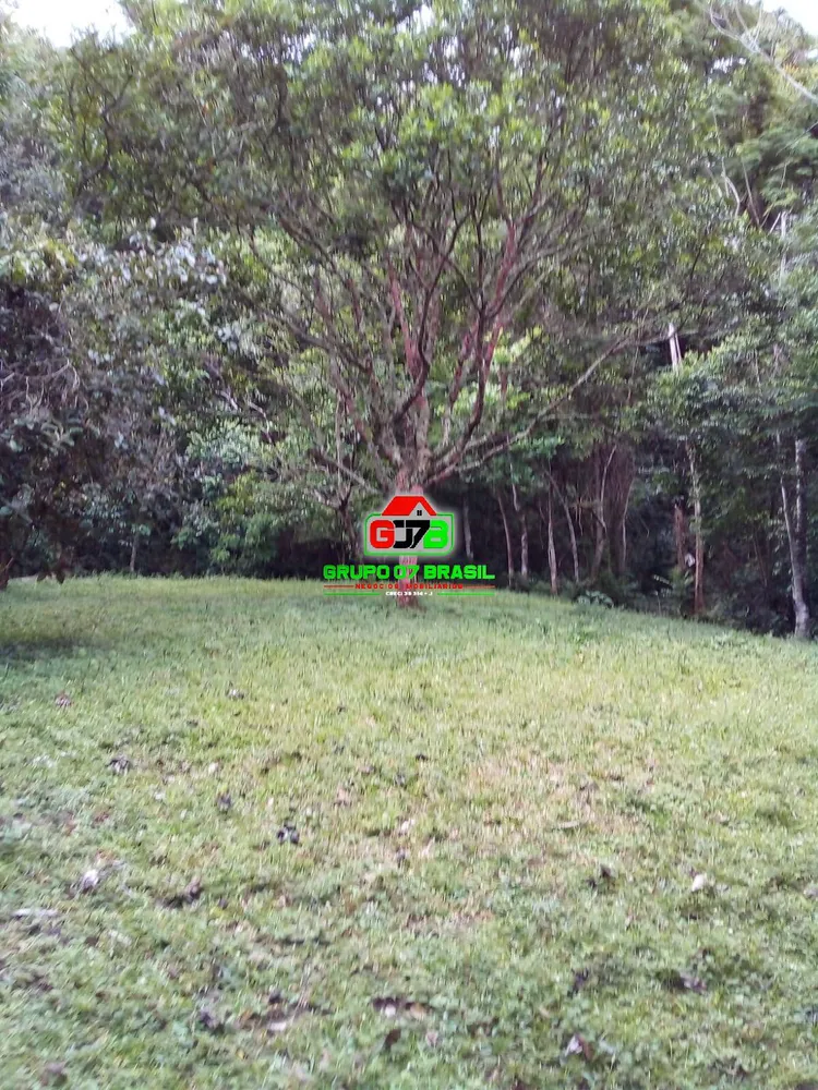 Terreno, 2 hectares - Foto 7