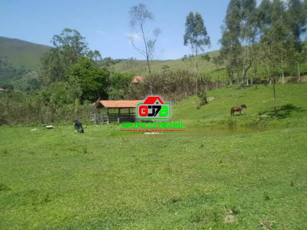 Terreno, 3 hectares - Foto 6