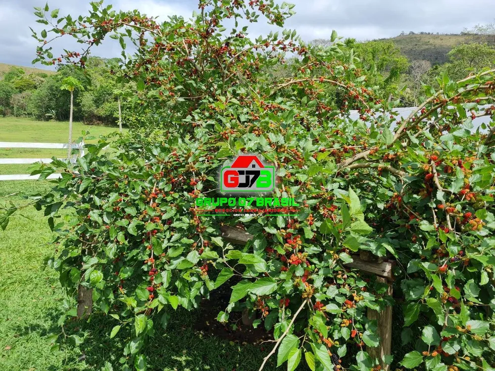 Terreno, 5 hectares - Foto 3