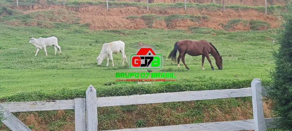 Terreno, 5 hectares - Foto 1