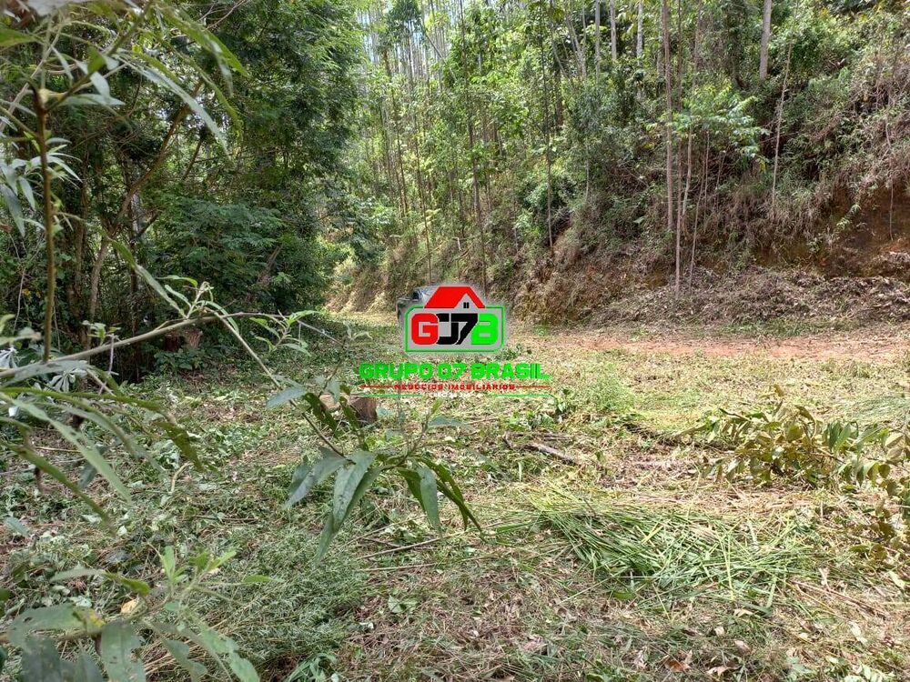 Terreno, 3 hectares - Foto 2