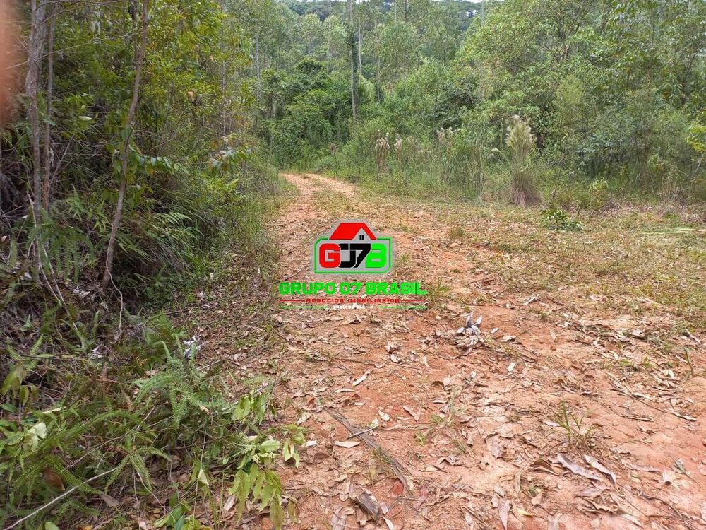 Terreno, 3 hectares - Foto 1