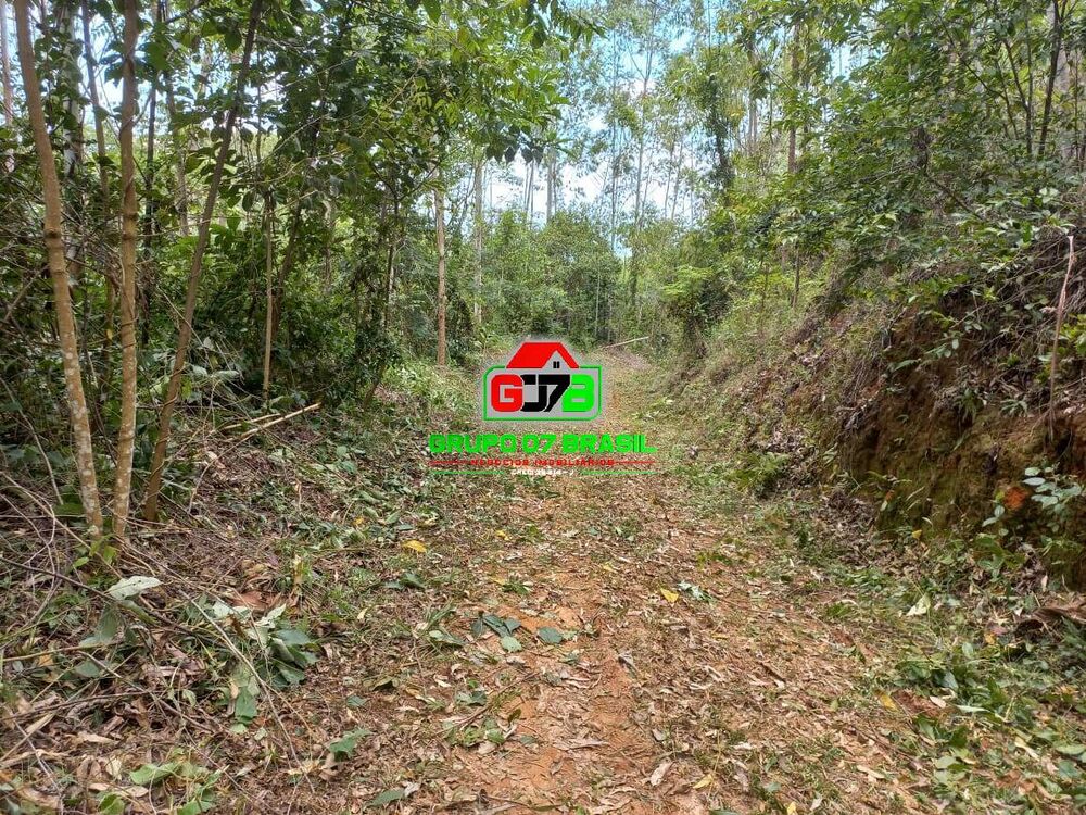 Terreno, 3 hectares - Foto 3