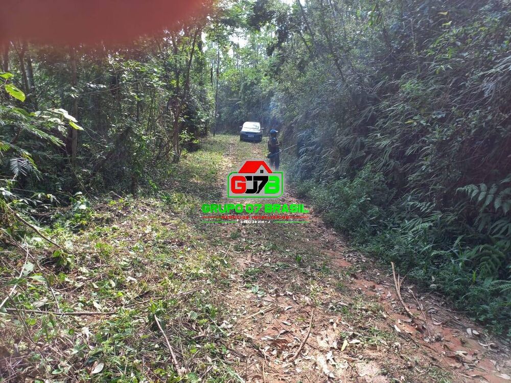 Terreno, 3 hectares - Foto 4