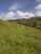 Terreno, 2000 m² - Foto 2