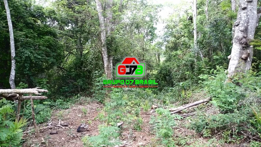 Terreno, 5000 m² - Foto 3
