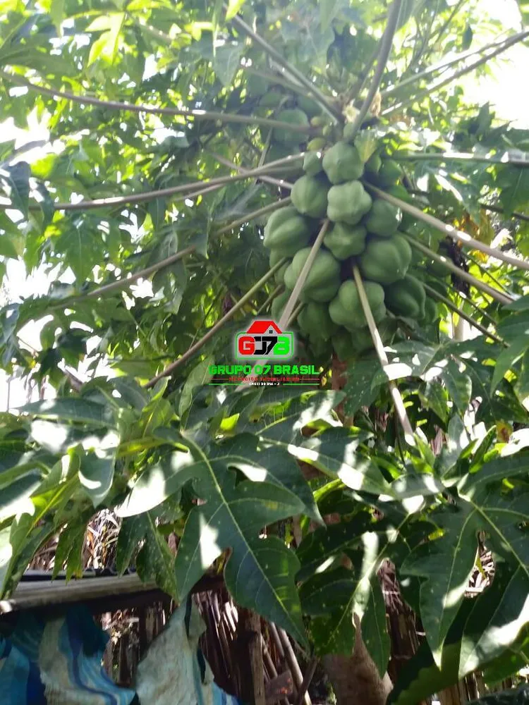 Terreno, 3 m² - Foto 11