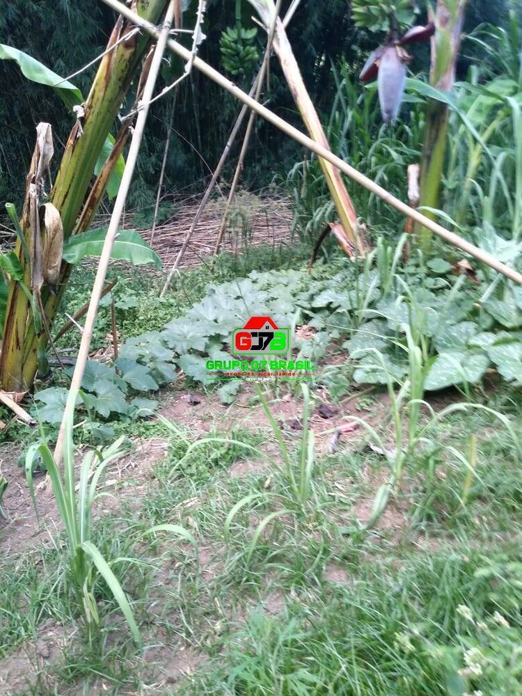 Terreno, 3 m² - Foto 3