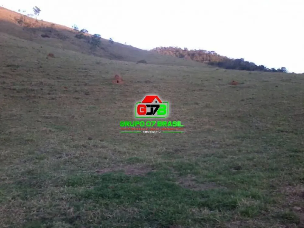 Terreno, 2 hectares - Foto 6