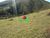 Terreno, 2 hectares - Foto 2