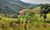 Terreno, 164 m² - Foto 5