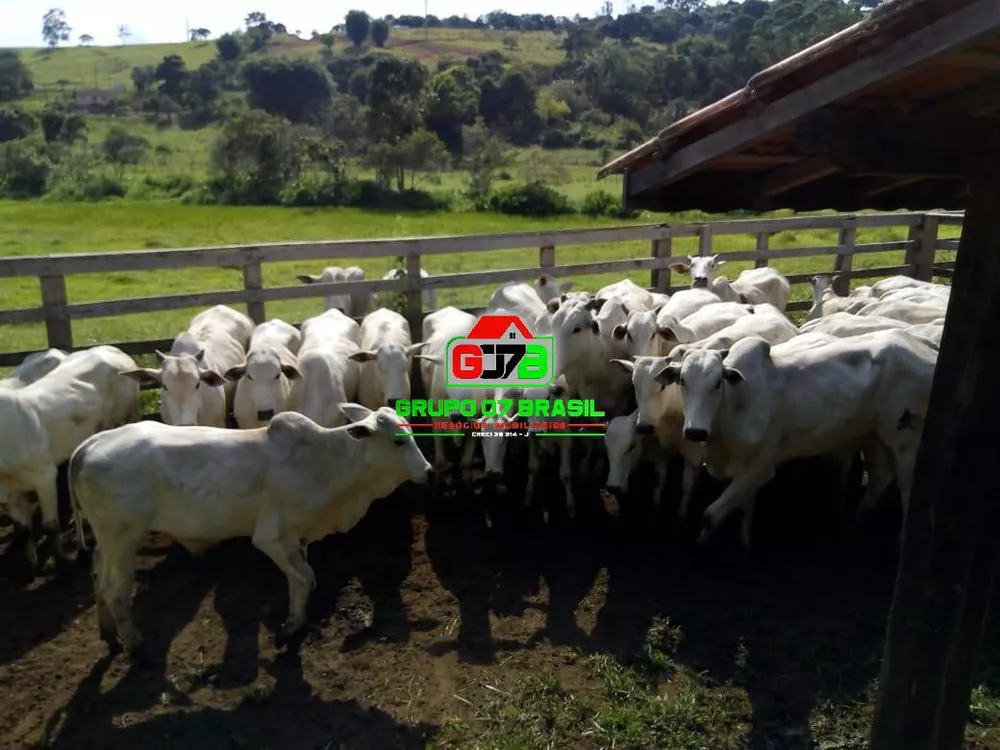 Terreno, 53 m² - Foto 1