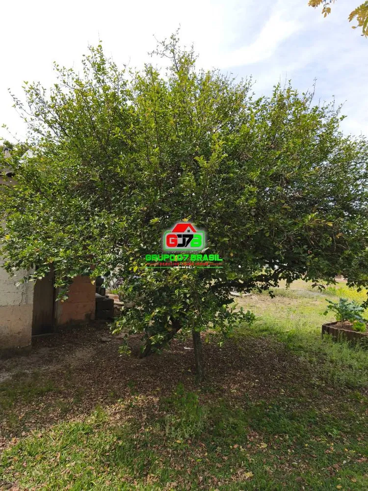 Chácara, 5 quartos, 2000 m² - Foto 4