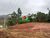 Terreno, 3 hectares - Foto 4