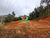 Terreno, 3 hectares - Foto 2