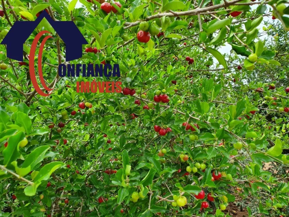 Sítio, 3 quartos, 1500 m² - Foto 2